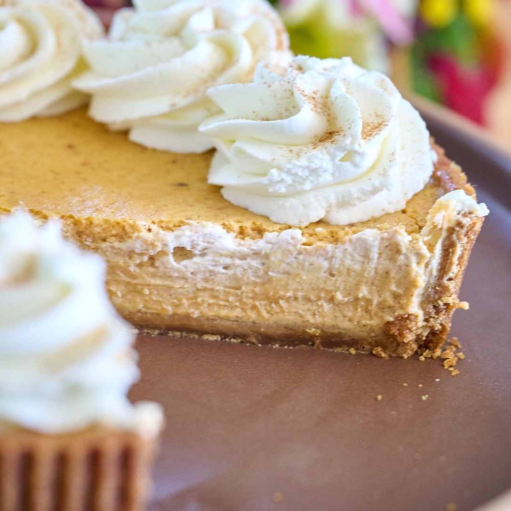 Pie Junkie Thanksgiving Pies _0000s_0004_DSC_9368